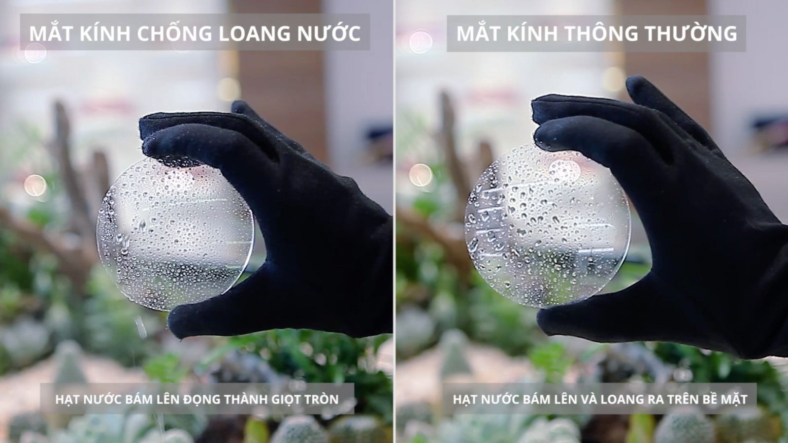 Sự khác nhau giữa tròng kính thông thường và kính đi mưa
